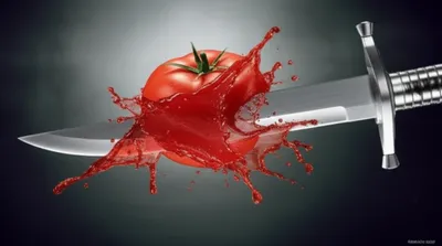 Illustration slashing - Image 1