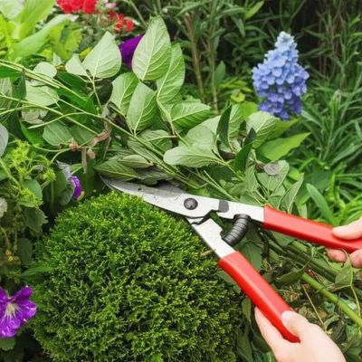 Illustration cropping - Image 1