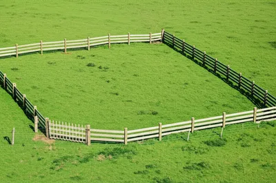 Hình ảnh minh họa paddock - Ảnh 1