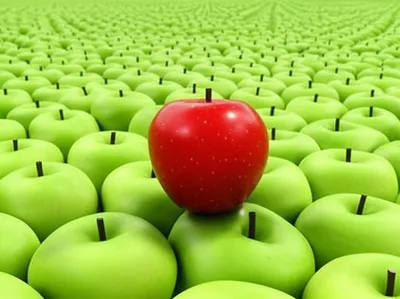 Illustration anomaly - Image 1