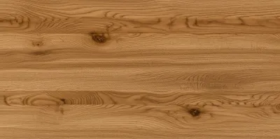 Illustration oaks - Image 1