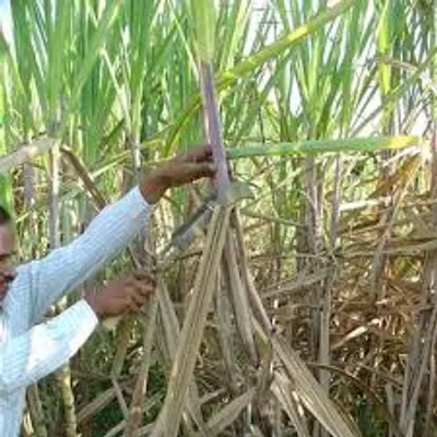 Illustration trash - Image 4