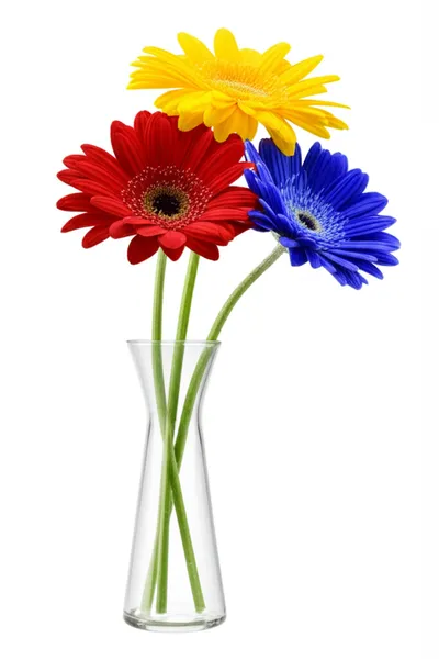 Illustration tercet - Image 1