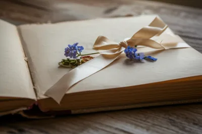 Illustration pressing - Image 1