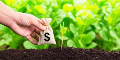 Illustration subvention - Image 1