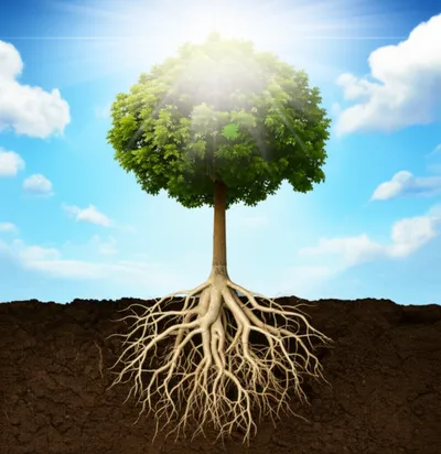 Illustration belief - Image 1