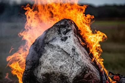 Illustration calcine - Image 1