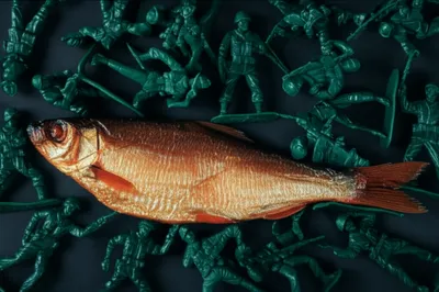 Illustration soldiers - Image 1