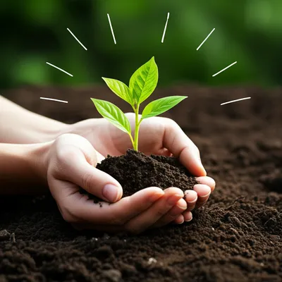 Illustration keeping - Image 1