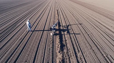 Illustration balk - Image 1