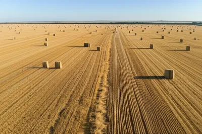 Illustration swath - Image 1