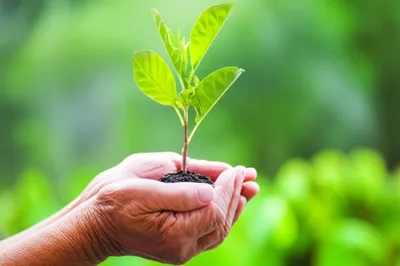 Illustration revered - Image 1