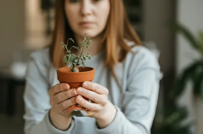 Illustration concerned - Image 1