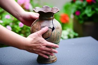 Illustration replaces - Image 1