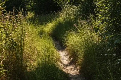 Illustration pad - Image 1