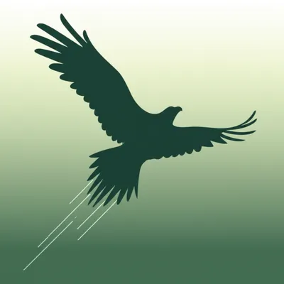 Illustration fly - Image 1