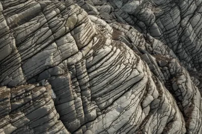 Illustration scars - Image 1