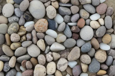 Illustration aggregate - Image 2