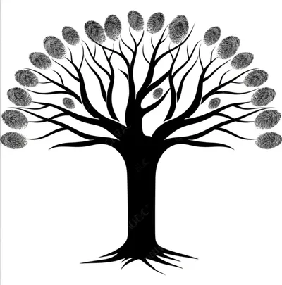 Illustration digits - Image 1