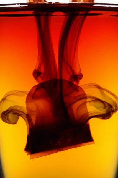 Illustration steeping - Image 3