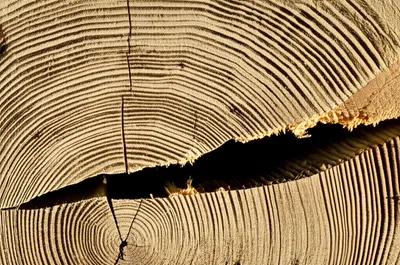 Illustration scores - Image 1