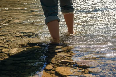 Illustration wading - Image 1