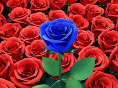 Illustration rare - Image 1