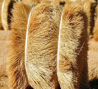 Illustration bales - Image 1