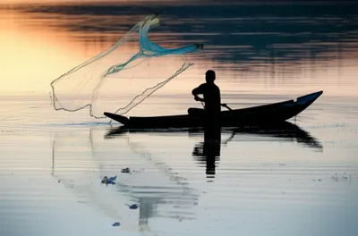 Illustration netting - Image 1