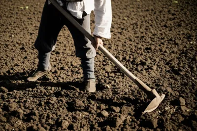 Illustration hough - Image 1