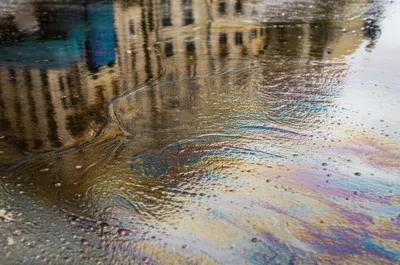 Illustration slicks - Image 1