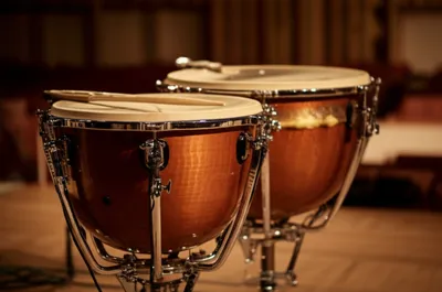 Illustration tympans - Image 1