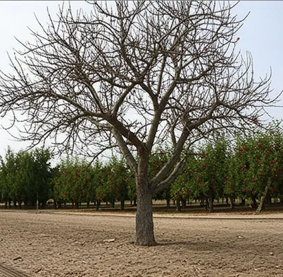 Illustration bitten - Image 1