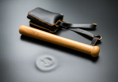 Illustration sap - Image 1