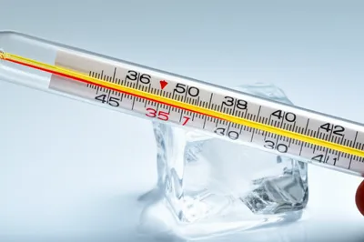 Illustration degrees - Image 1