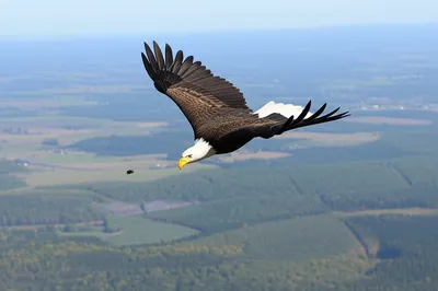 Illustration vantage - Image 1