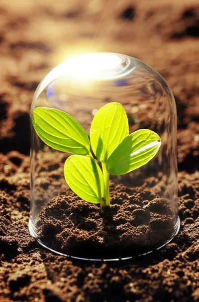 Illustration casing - Image 1