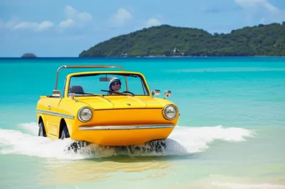 Illustration amphibian - Image 1