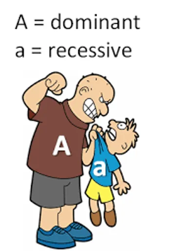 Illustration dominant - Image 3