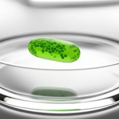 Illustration isolated - Image 1