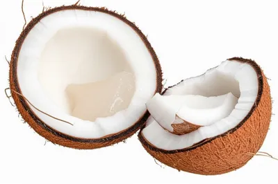 Illustration jelly - Image 1