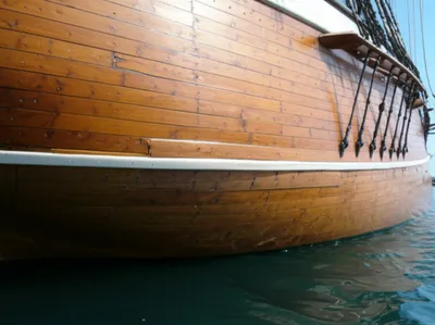 Illustration wale - Image 1