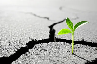 Illustration creeped - Image 1