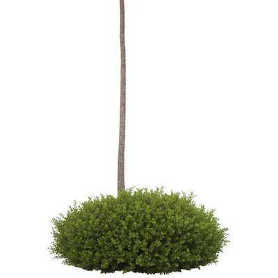 Illustration upright - Image 1