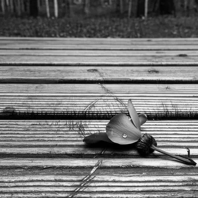 Illustration sadnesses - Image 1