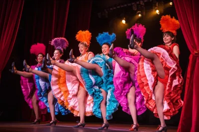 Illustration cancans - Image 1