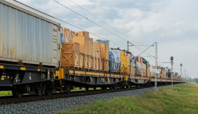 Illustration goods - Image 1