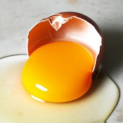 Illustration fracture - Image 1