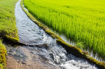 Illustration derivation