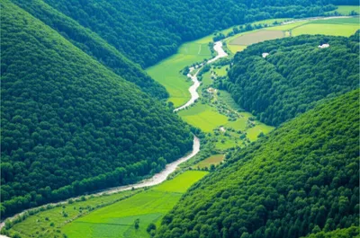 Illustration paralleling - Image 1